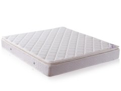 深圳品茶